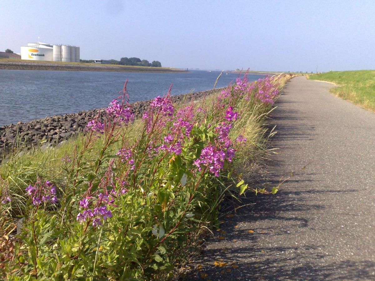 Middensluis 7 Villa Wemeldinge Luaran gambar